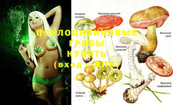 молекула духа Аркадак