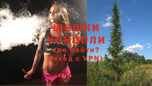 молекула духа Аркадак